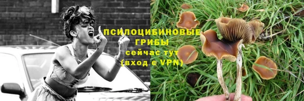 ECSTASY Баксан